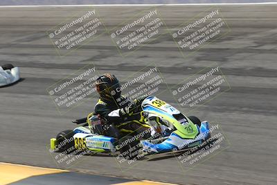 media/Mar-29-2025-Pro Autosports (Sat) [[89b1c017ad]]/6-Purple Group/Session 2 (Bowl)/